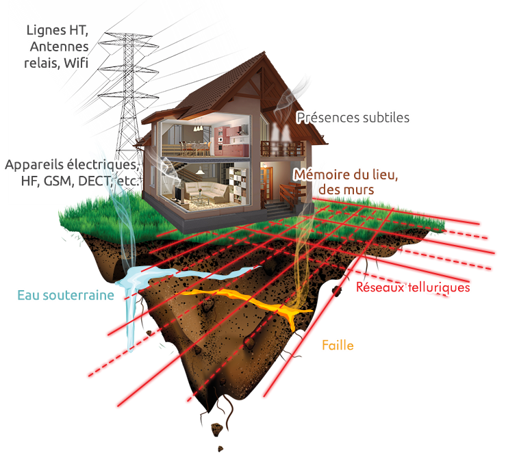 expertise geobiologique bordeaux